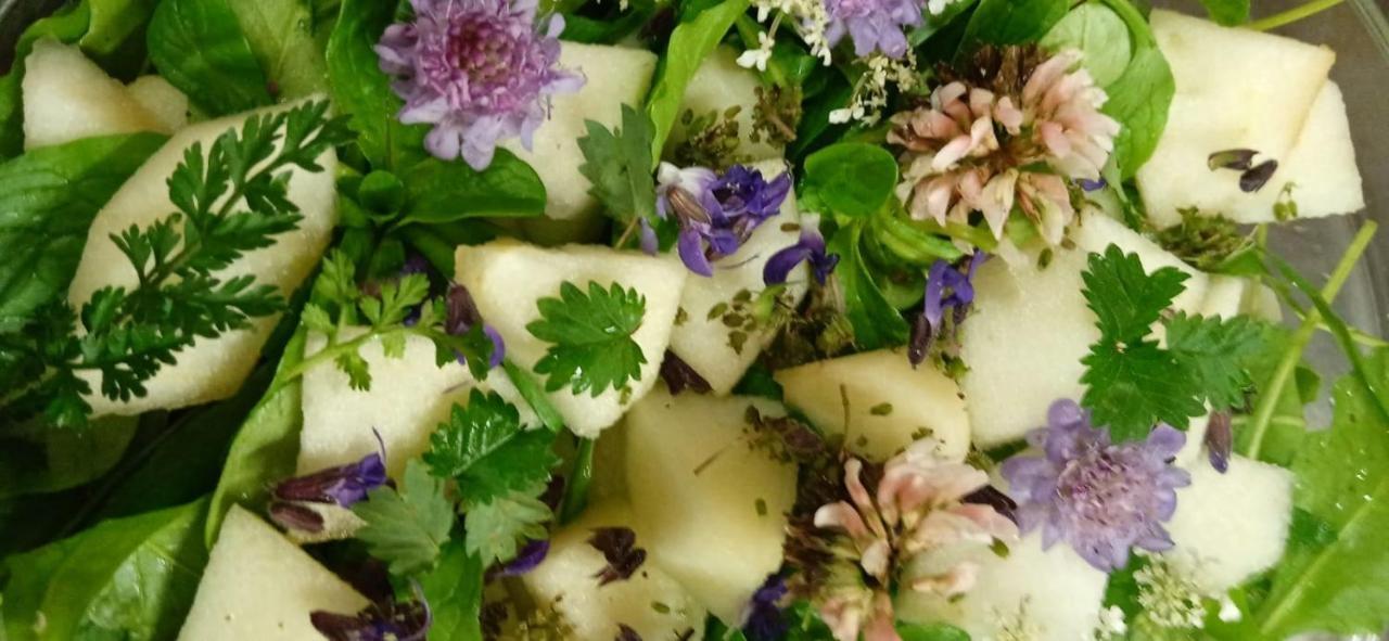 Agriturismo Con Cucina Tipica Nuova Scardua Cavriana エクステリア 写真