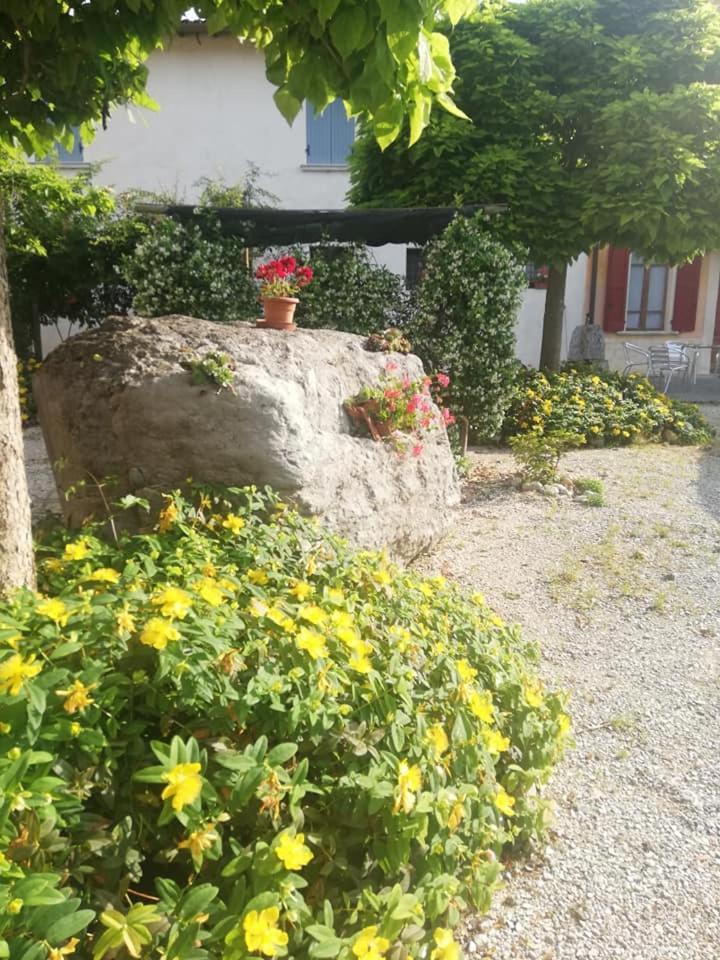 Agriturismo Con Cucina Tipica Nuova Scardua Cavriana エクステリア 写真
