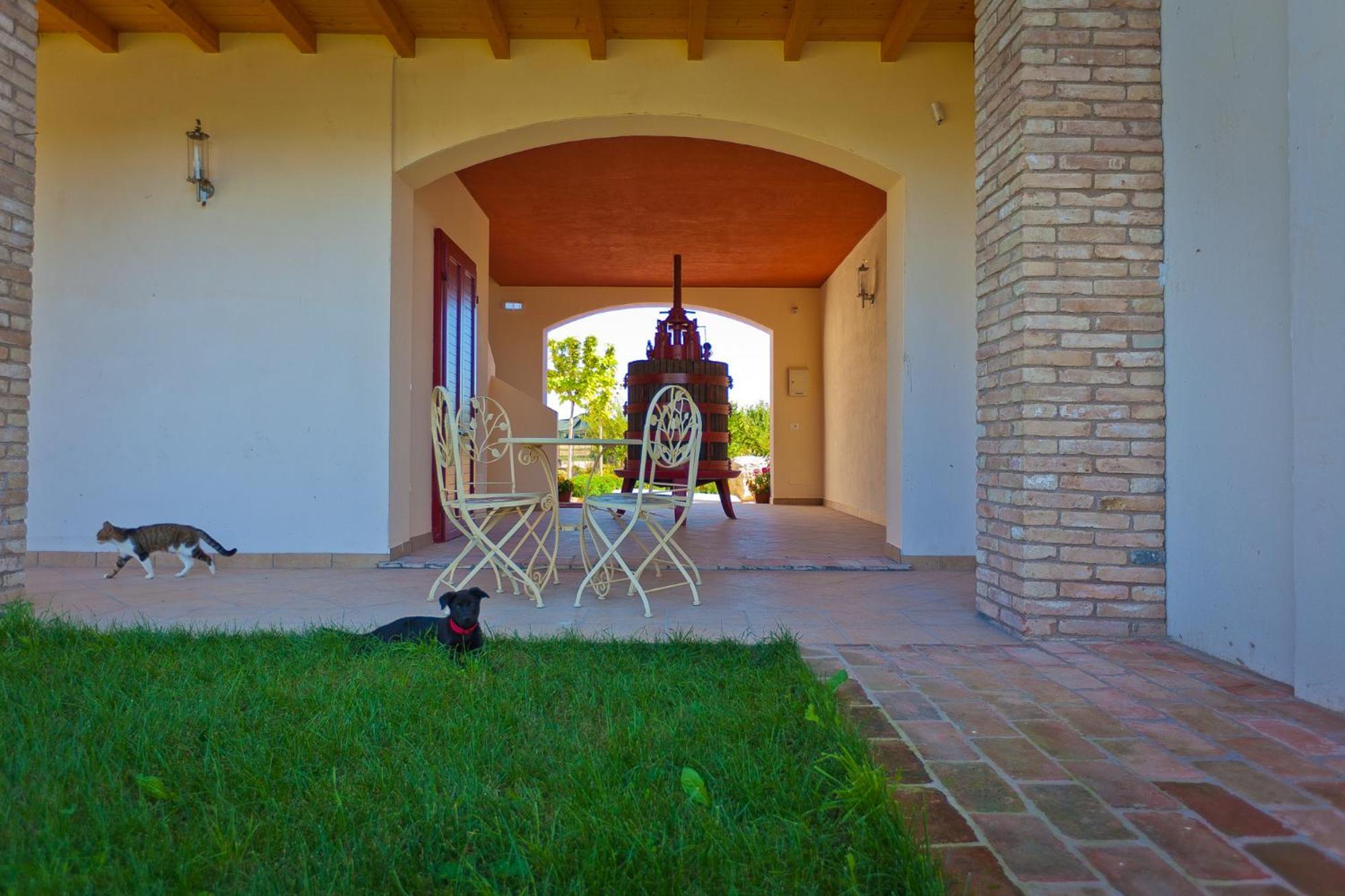 Agriturismo Con Cucina Tipica Nuova Scardua Cavriana エクステリア 写真