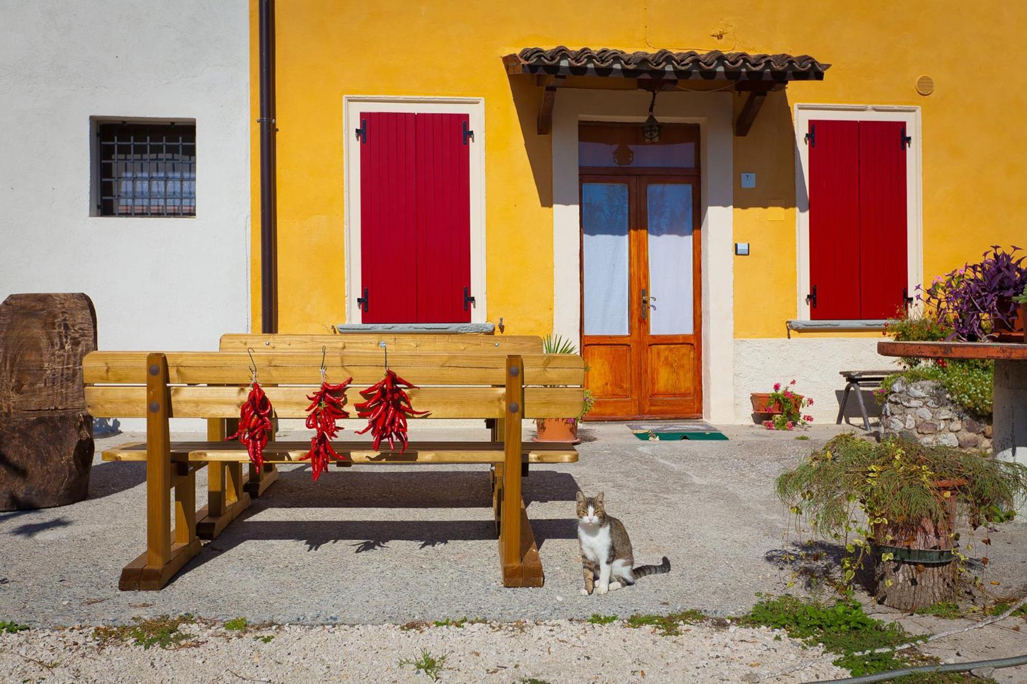 Agriturismo Con Cucina Tipica Nuova Scardua Cavriana エクステリア 写真