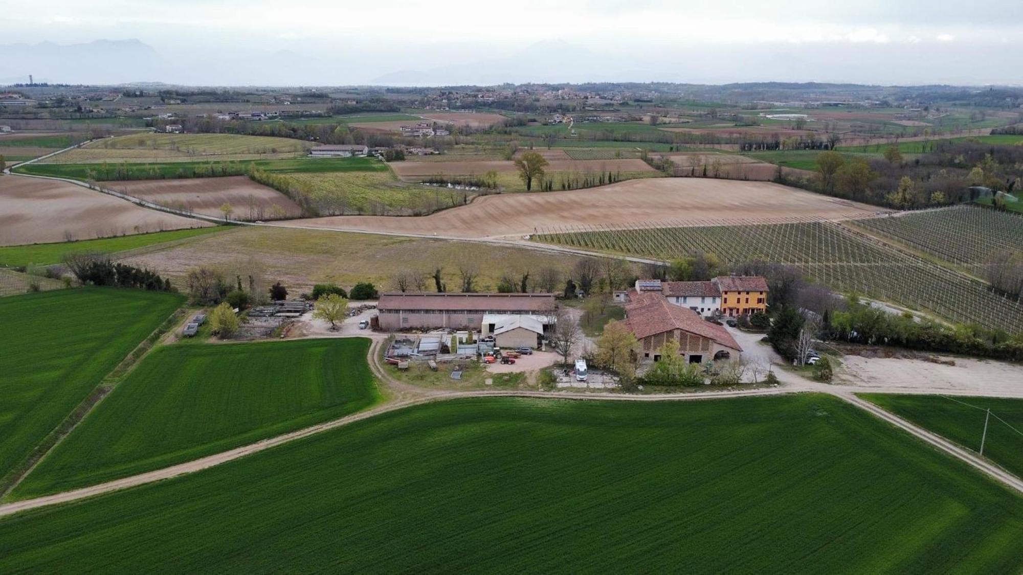Agriturismo Con Cucina Tipica Nuova Scardua Cavriana エクステリア 写真