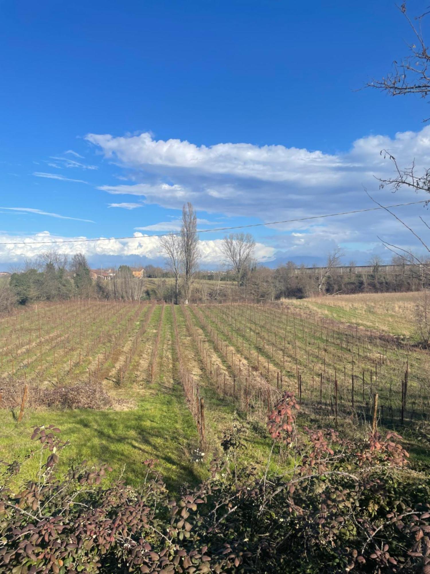 Agriturismo Con Cucina Tipica Nuova Scardua Cavriana エクステリア 写真